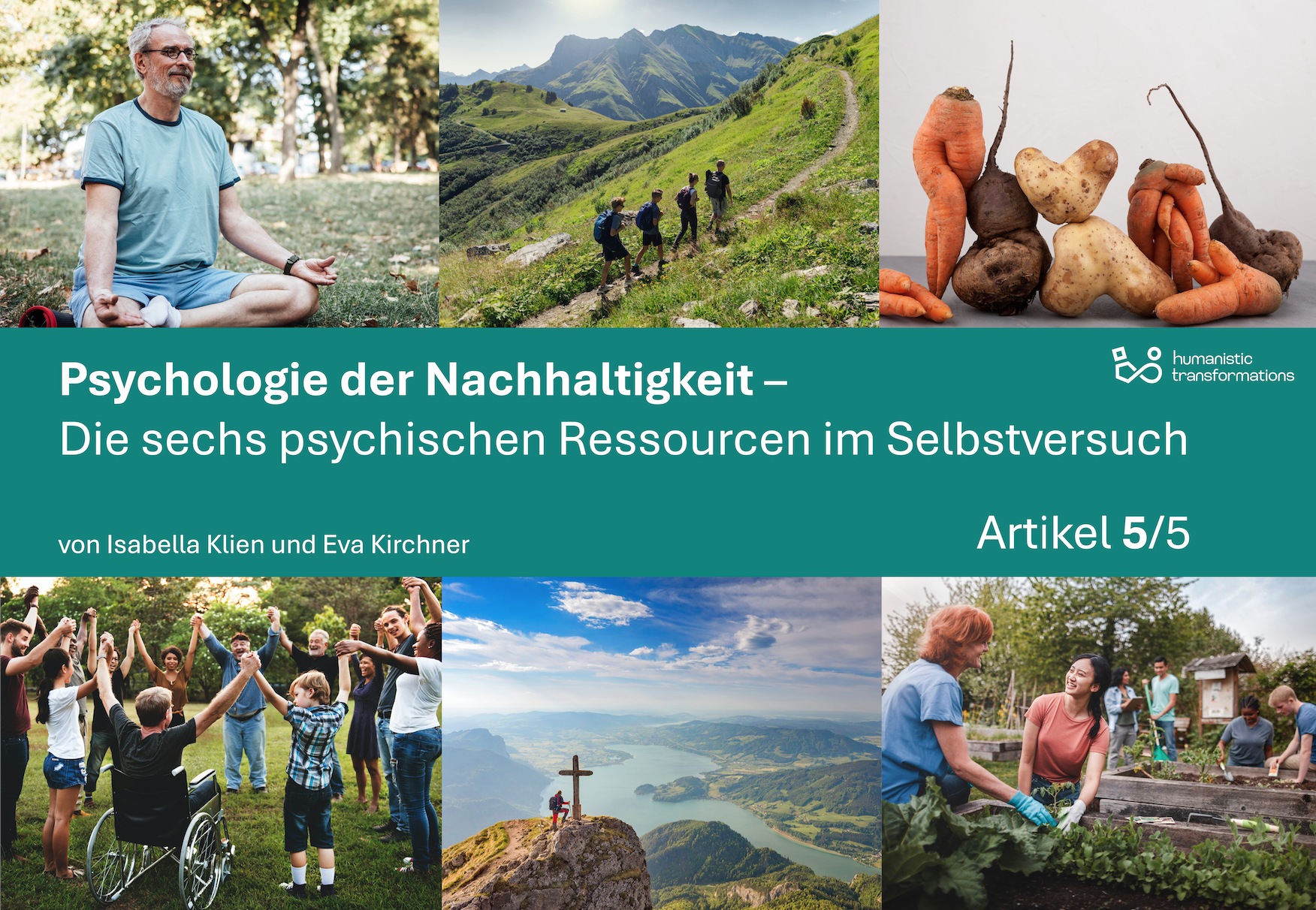 Gemeinwohlökonomie, Organisationsentwicklung, Organisationsberatung