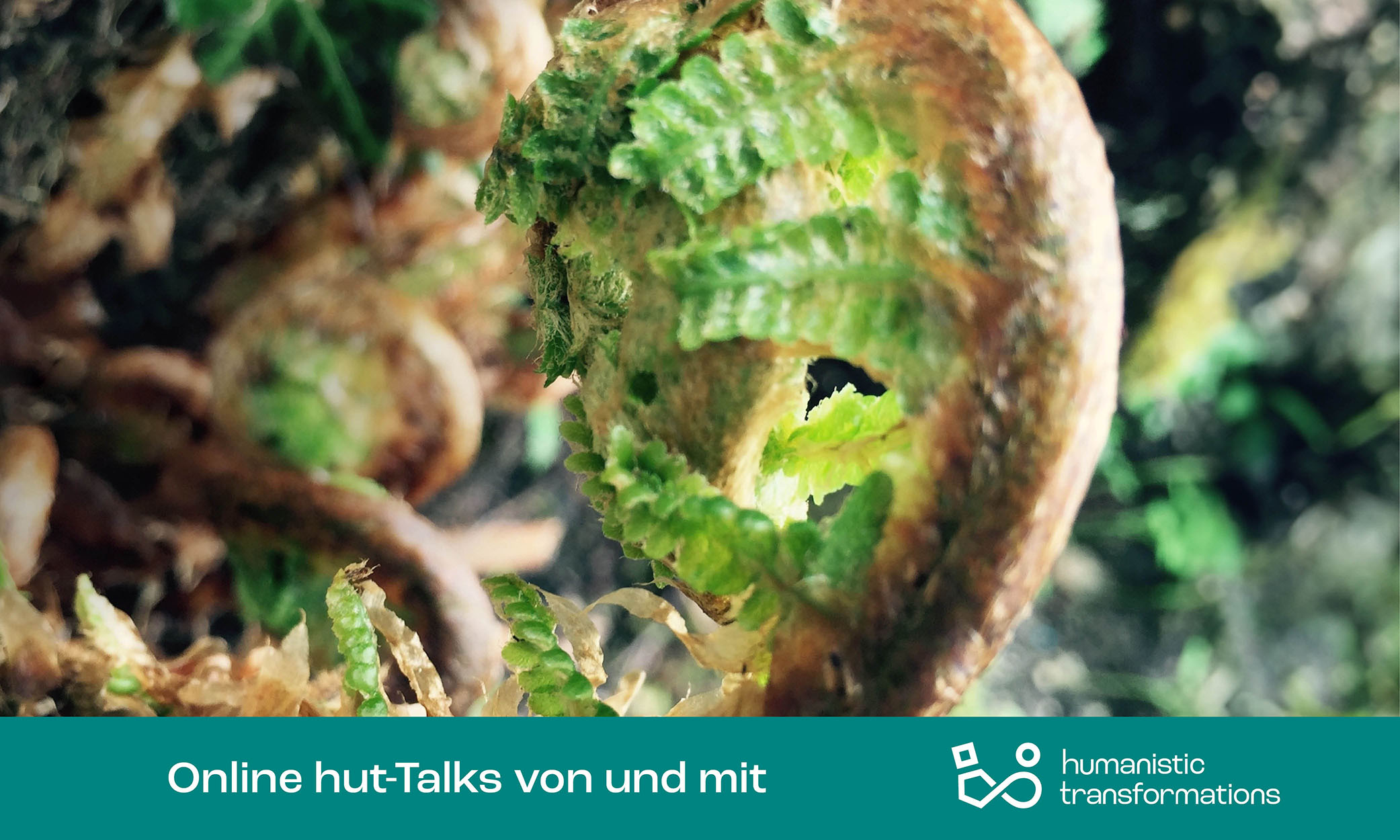 hut-talk Webinare von humanistic transformations für Äußerer Wandel brauchte inneres Wachstum, Nachhaltigkeitspsychologie Unternehmenstransformation, CSRD, ESRS
